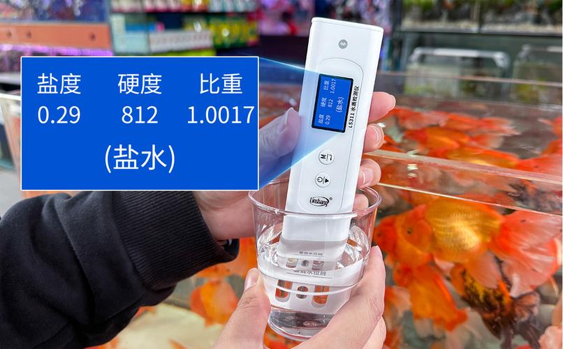 LS311多参数水质检测仪与专业水质检测服务 开启精准监测新篇章